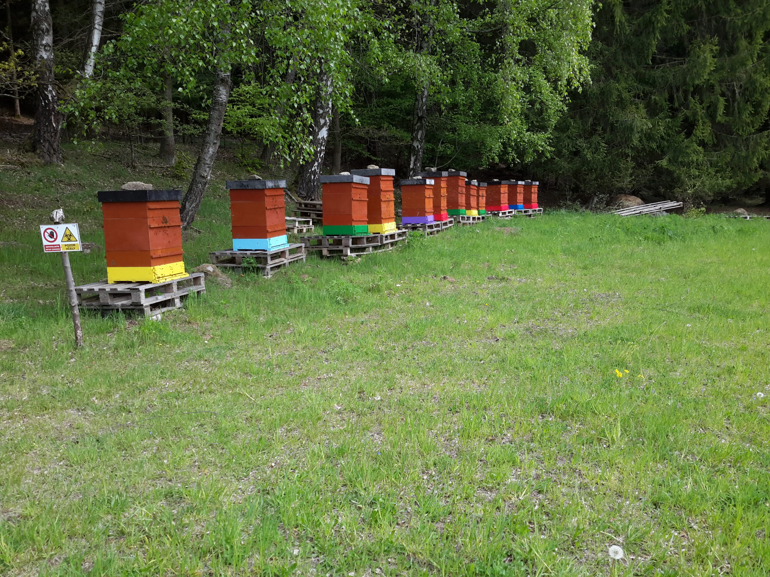 Carnica Bienen-Schutzgebiet