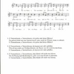 20201204_O-Tannenbaum