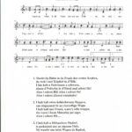 20210129_Macht-da-Hahn-in-da-Fruah