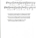 20210219_Was-kuemmern-mi-die-Sterndln