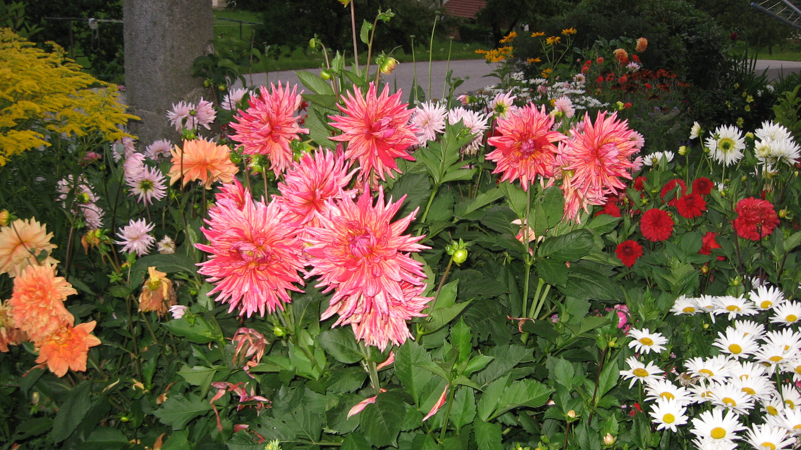 Erzählungen aus dem Mühlviertel: Sommer