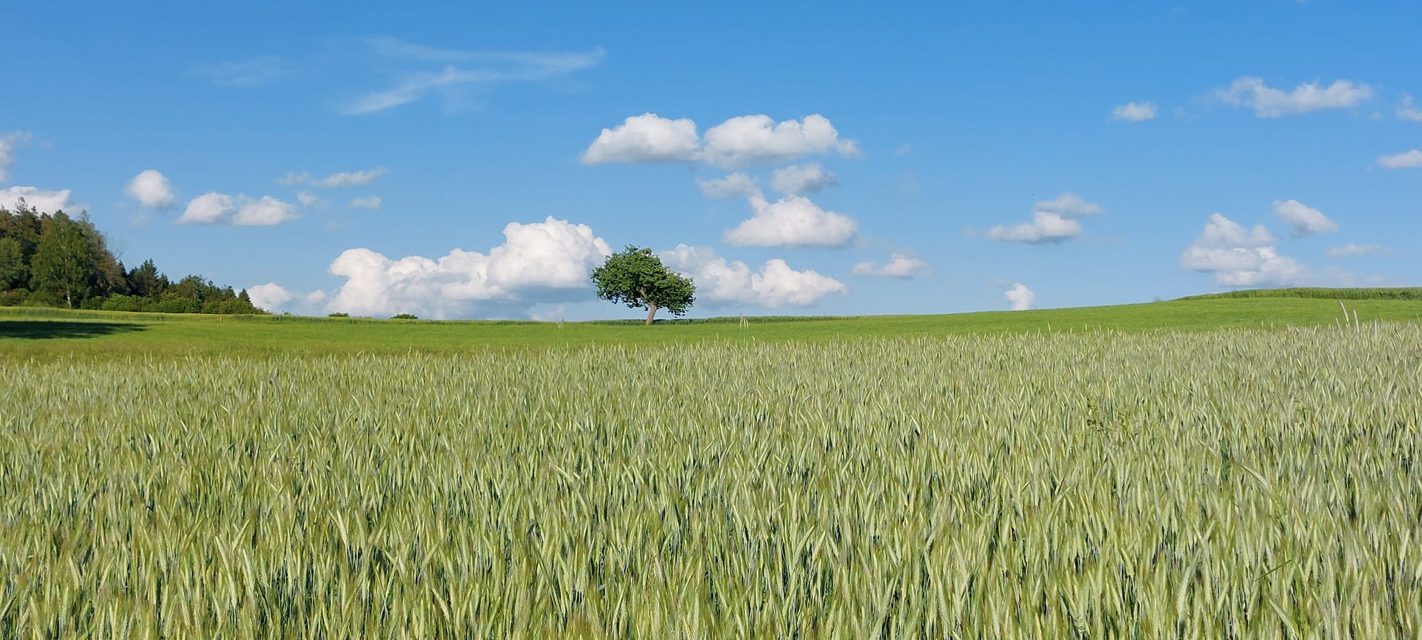 Lebensräume planen und Boden schützen