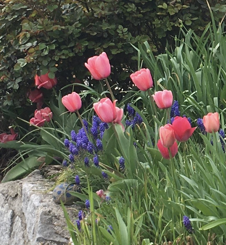 Erzählungen aus dem Mühlviertel: Frühling