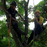 Bildschirmfoto von 2018-06-08 09-57-16