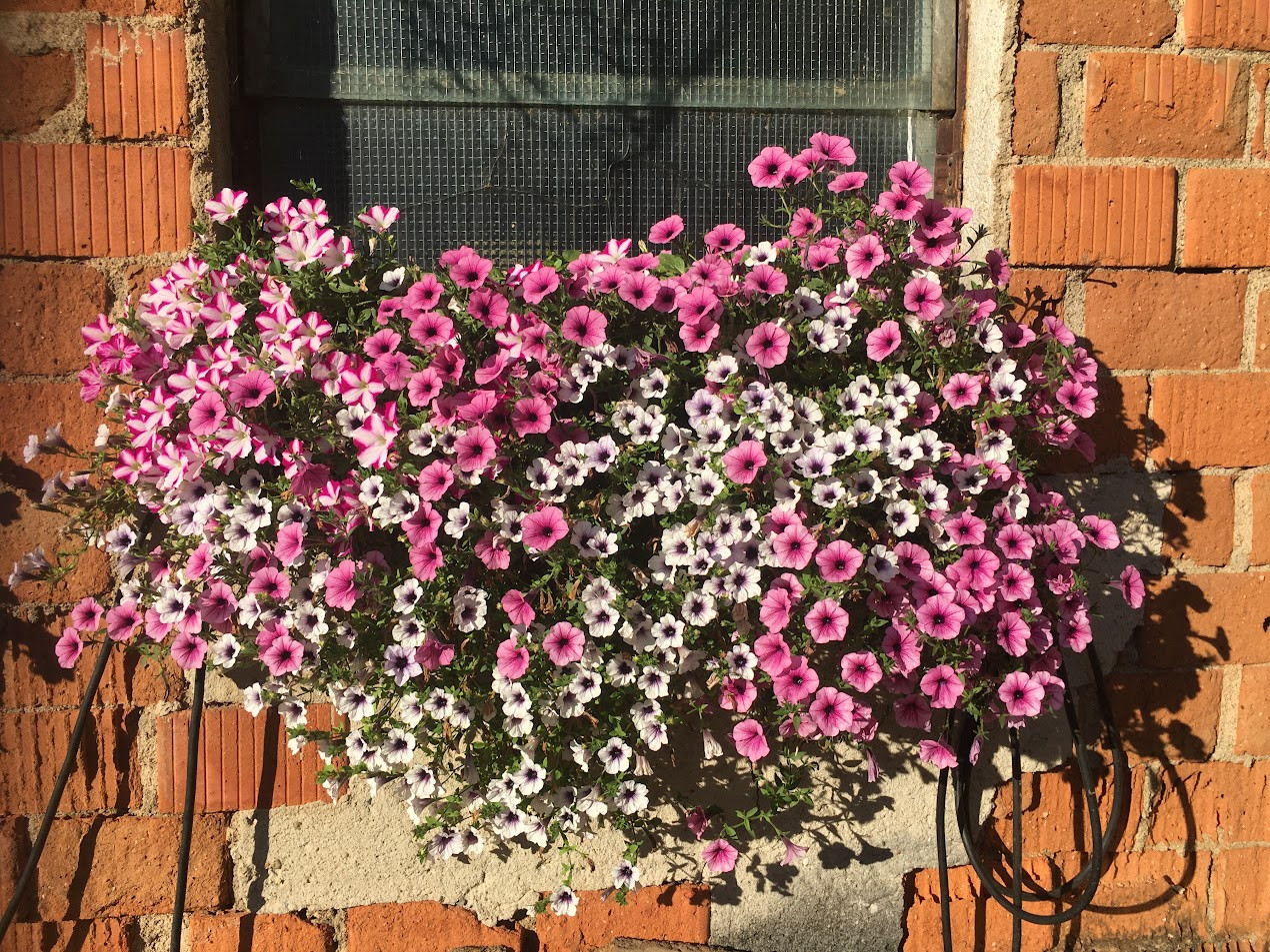 Erzählungen aus dem Mühlviertel im Sommer