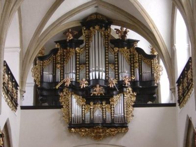 Freistadt Orgel Web