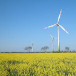 Windr_der_im_Feldcopyright_IG_Windkraft