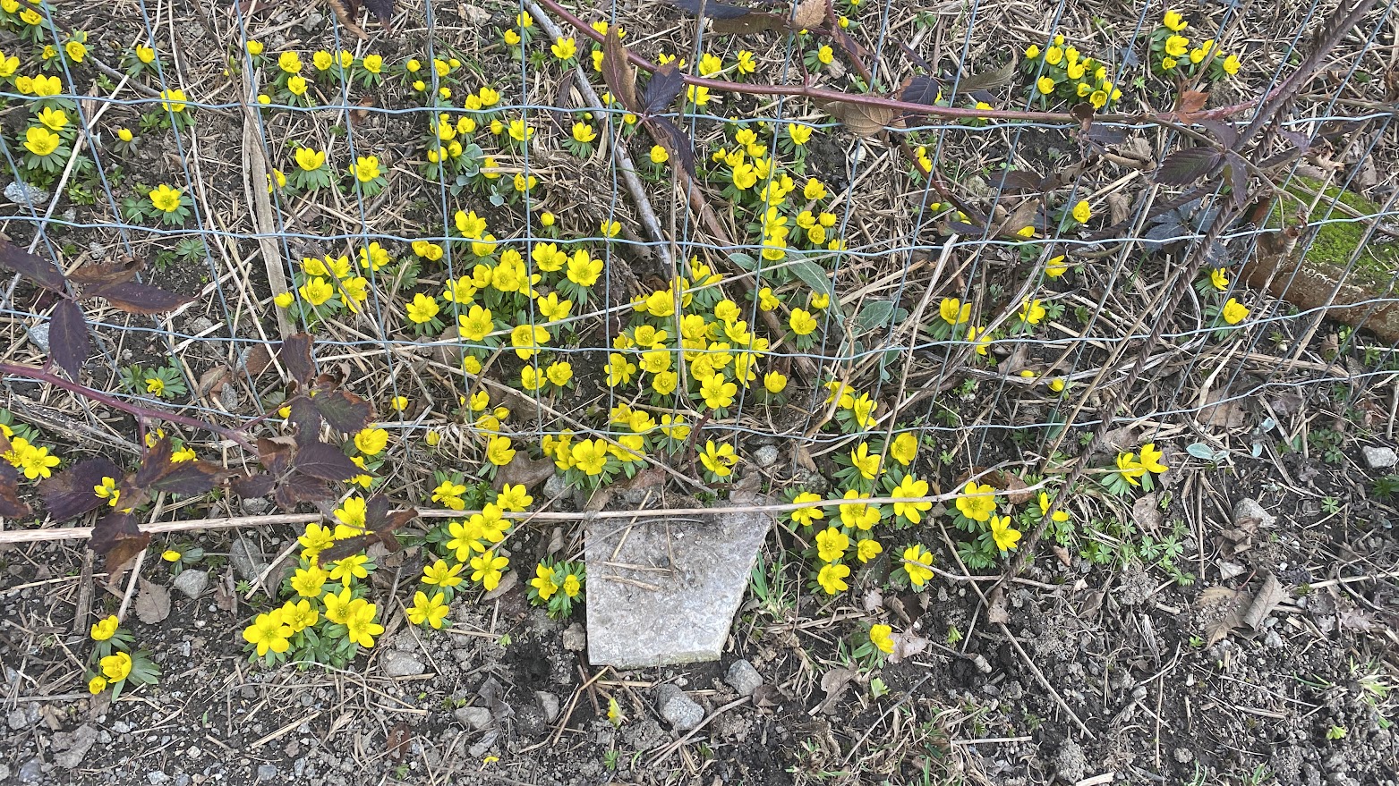 Erzählungen aus dem Mühlviertel im Frühling