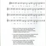 Wohl-in-da-Wiederschwing