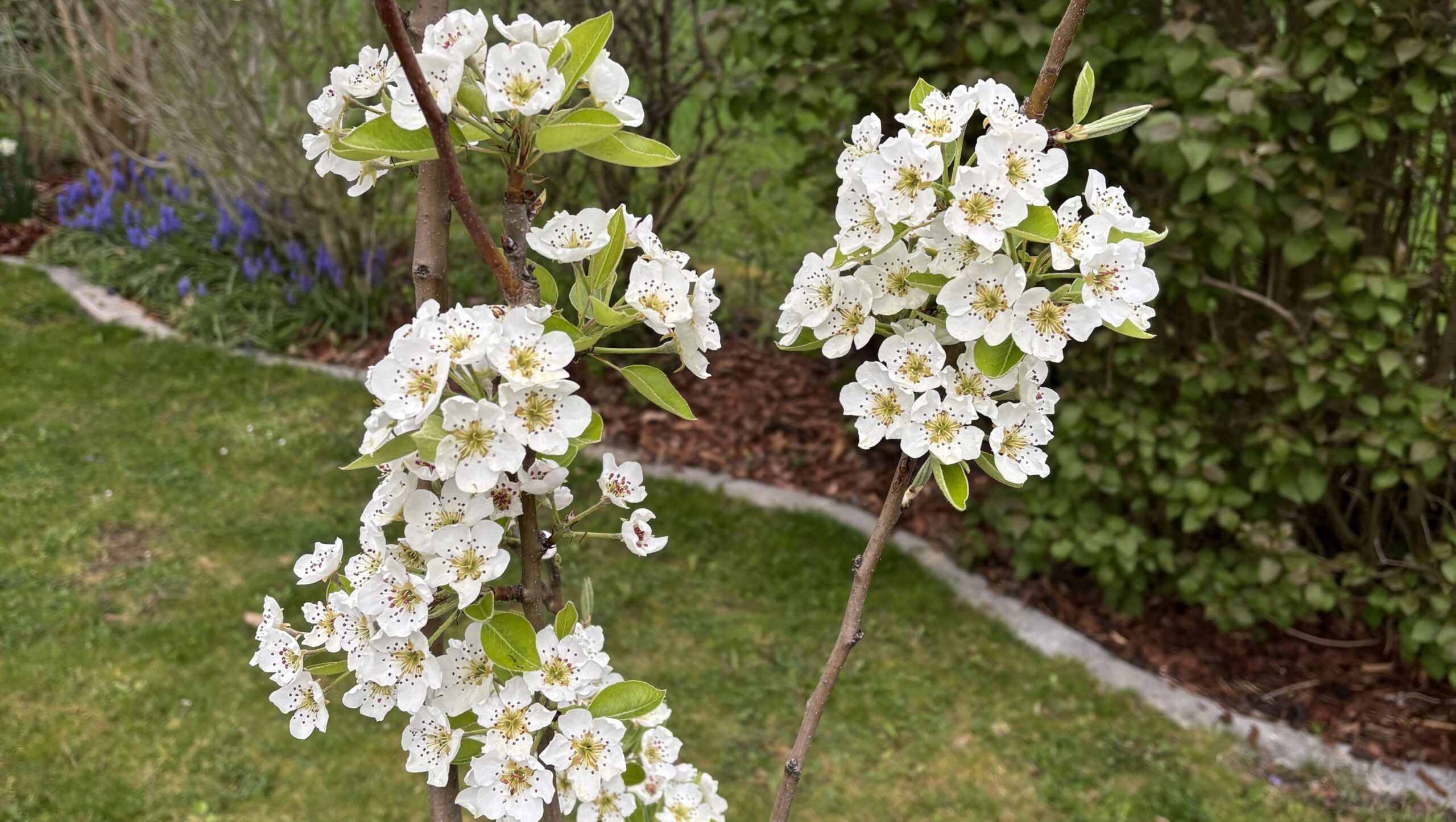 RundUmKirche: Ehrenamt