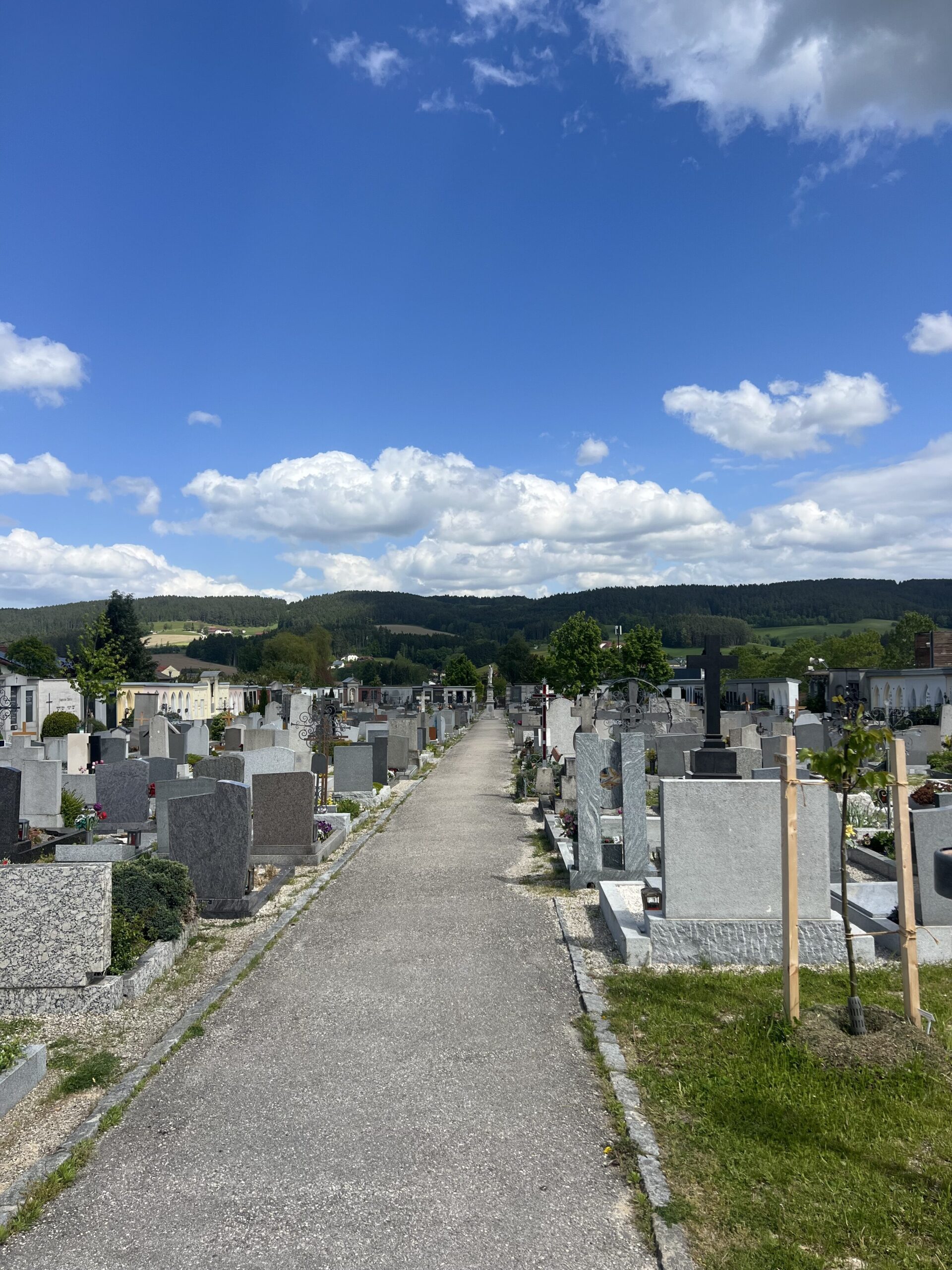 Umweltprojekt am Stadtfriedhof Freistadt