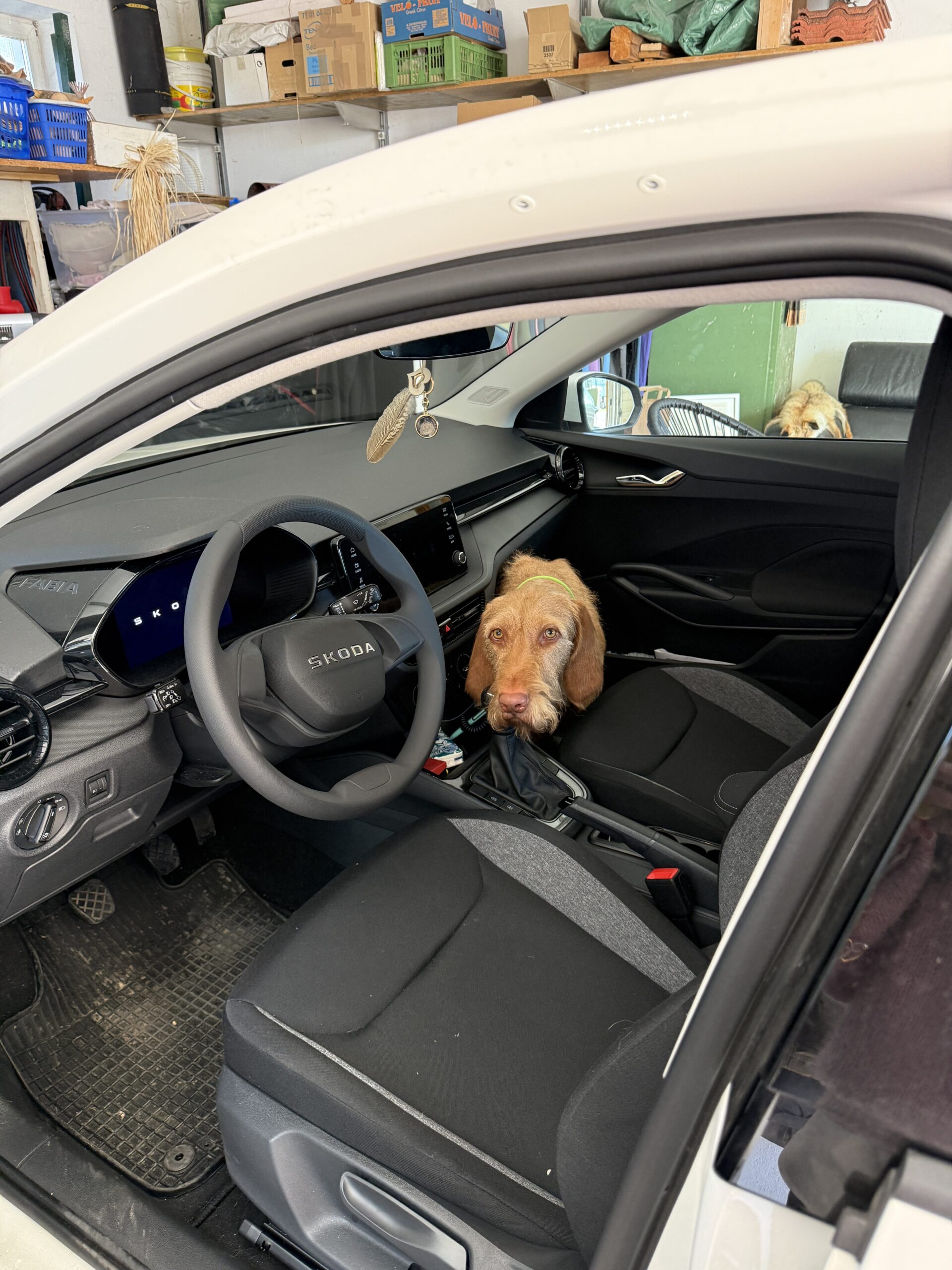 #003 Mit Bauchschmerzen am lang ersehnten Konzert