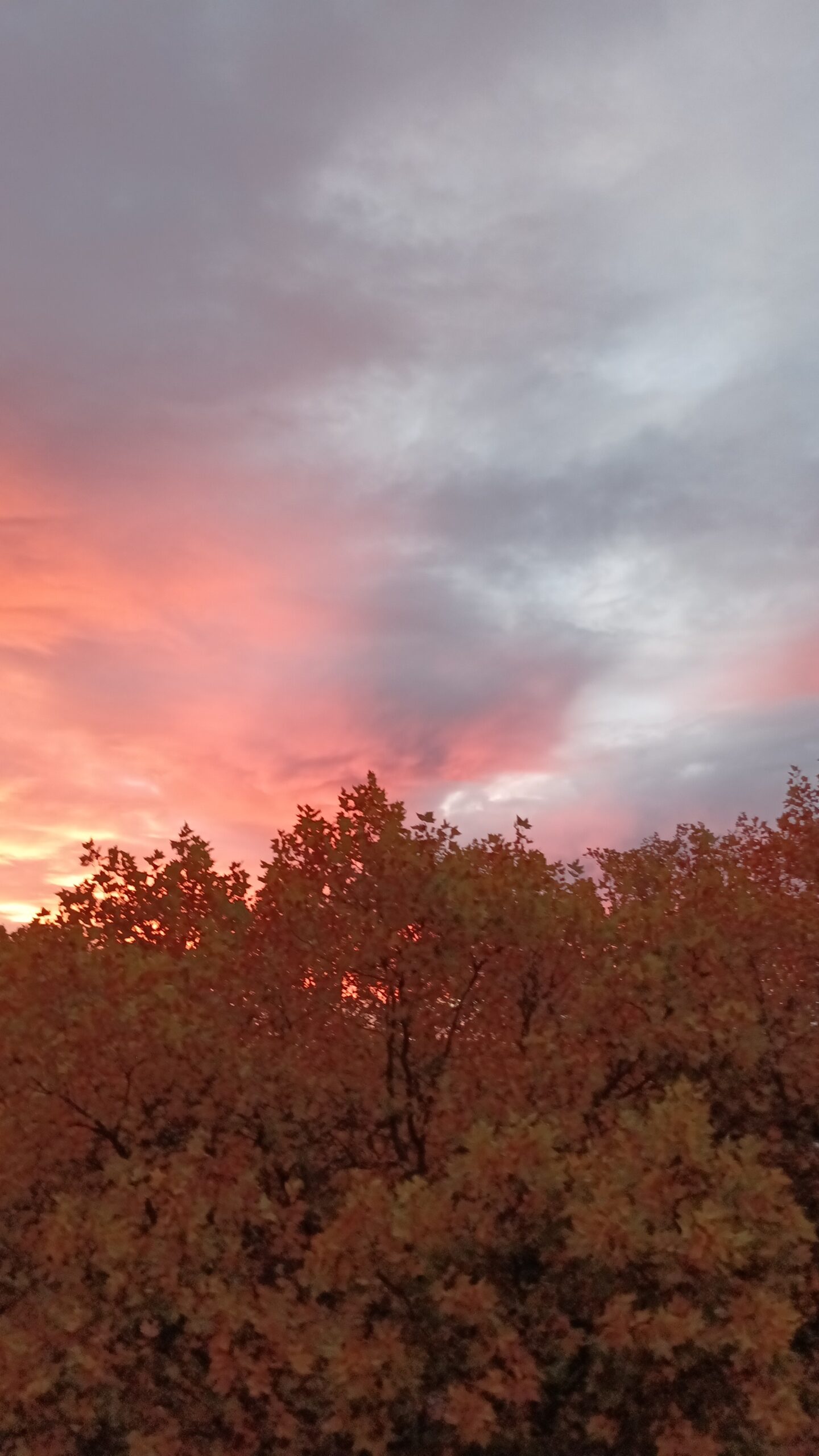 Aufhören – Literatur zum Wochenausklang 342