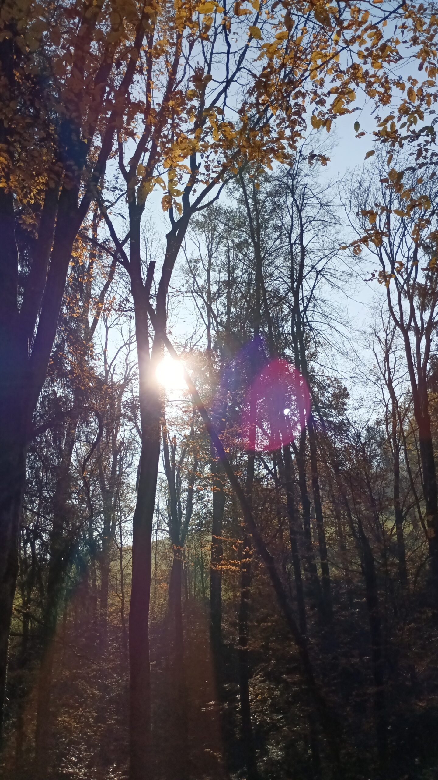 Aufhören – Literatur zum Wochenausklang 344