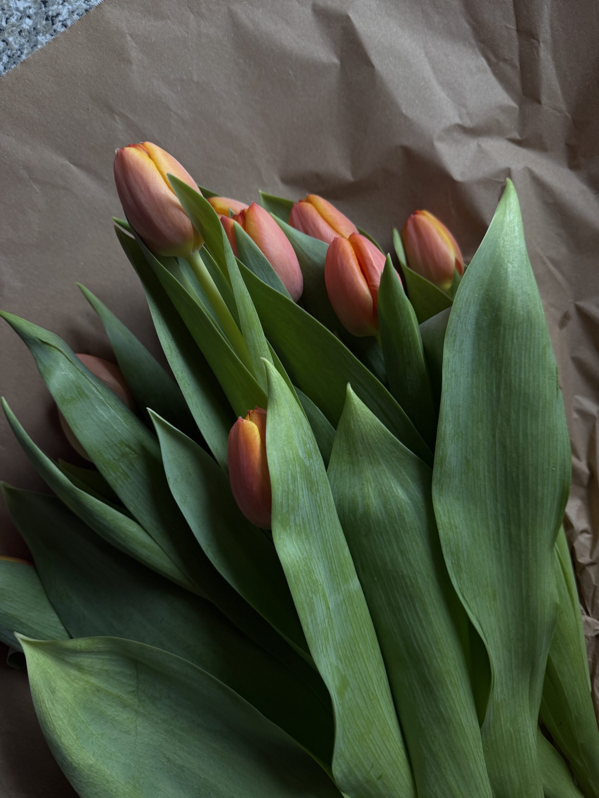 #001 Jede Menge Frühlingsgefühle